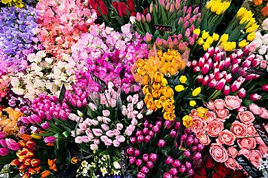 12999元的RTX 4090显卡解禁：CPU已成性能瓶颈